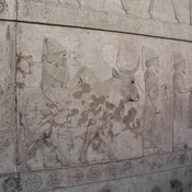Persepolis, Apadana, East Stairs, Relief of the Babylonians with a bull