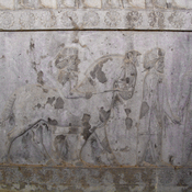 Persepolis, Apadana, East Stairs, Relief of the Cappadocians with a horse