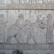 Persepolis, Apadana, East Stairs, Relief of the Gandarans with a buffalo