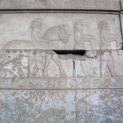 Persepolis, Apadana, East Stairs, Relief of the Sagartians with a horse