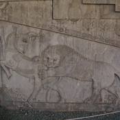 Persepolis, Apadana, East Stairs, Relief of a bull and lion
