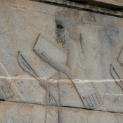 Persepolis, Apadana, East Stairs, Relief of a charioteer