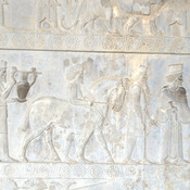 Persepolis, Apadana, East Stairs, Relief of Armenians with a horse
