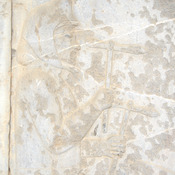 Persepolis, Apadana, East Stairs, Relief of a Sogdians with battle-axes