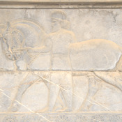 Persepolis, Apadana, East Stairs, Relief of a man with a horse
