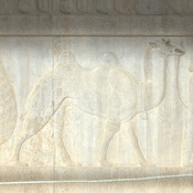 Persepolis, Apadana, East Stairs, Relief of a camel