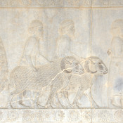 Persepolis, Apadana, East Stairs, Relief of Syrians with two rams