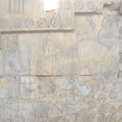 Persepolis, Apadana, East Stairs, Relief of a tree and a bull