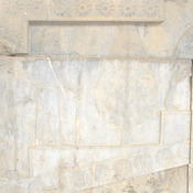 Persepolis, Apadana, East Stairs, Relief of a courtier and a tree