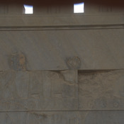 Persepolis, Apadana, East Stairs, Relief of a very damaged hippopotamus