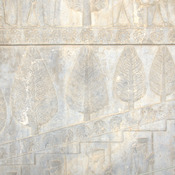 Persepolis, Apadana, East Stairs, Relief of trees
