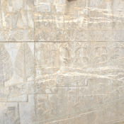 Persepolis, Apadana, East Stairs, Relief of trees and flowers