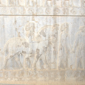 Persepolis, Apadana, East Stairs, Relief of the Cappadocians and a horse