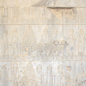 Persepolis, Apadana, East Stairs, Relief of trees, Arians, Syrians with rams, and Cappadocians