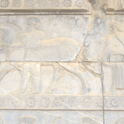 Persepolis, Apadana, East Stairs, Relief of a horse