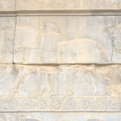 Persepolis, Apadana, East Stairs, Relief of a horse