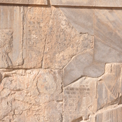 Persepolis, Interconnecting staircase (west), Relief of lion and bull