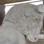 Persepolis, Capital, Head of a bull