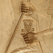 Persepolis, Apadana, Eaststairs, Central relief, Darius' hands
