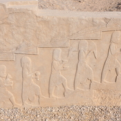 Persepolis, Unexcavated Palace D, Relief