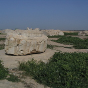 Susa, Apadana, Remains of columns
