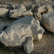 Susa, Apadana, Remains of a capital