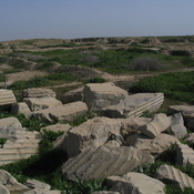 Susa, Apadana, Remains of columns