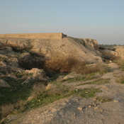 Susa, Terrace of the Achaemenid palace