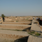 Susa, Palace of Darius the Great