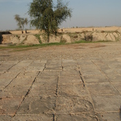 Susa, Palace of Darius the Great, Floor tiles