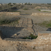 Susa, Palace of Darius the Great, Floor tiles