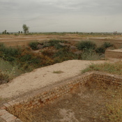 Susa, Palace of Darius the Great