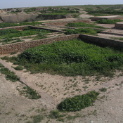 Susa, Palace of Darius the Great, Treasury