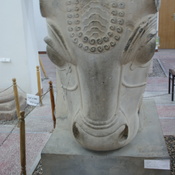 Susa, Achaemenid capital