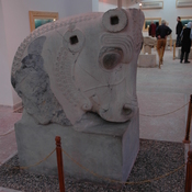 Susa, Apadana, Bull's head capital