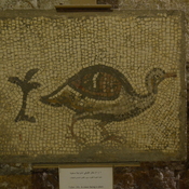 Madaba, Church of st. Mary, Mosaic showing bird and a plant