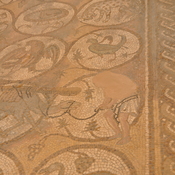 Petra, Byzantine church, Mosaic presenting a dromedary
