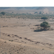 Wadi Nefud near Qasr Banat, Dam
