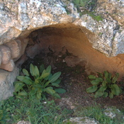 Slonta, Libyan sanctuary, Cave