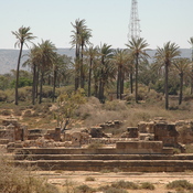 Taucheira-Arsinoe, Gymnasium