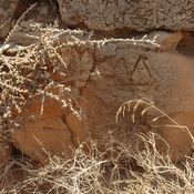 Taucheira-Arsinoe, Gymnasium, Honorific inscription