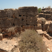 Taucheira-Arsinoe, Gymnasium, Honorific inscription