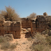 Taucheira-Arsinoe, Gymnasium