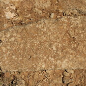 Taucheira-Arsinoe, Gymnasium, Honorific inscription