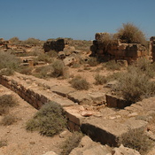 Taucheira-Arsinoe, Gymnasium