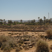 Taucheira-Arsinoe, Gymnasium