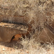 Arsinoe, Palace Church, Decoration