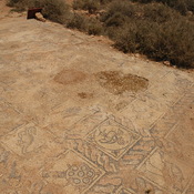 Arsinoe, Palace Church, Mosaic