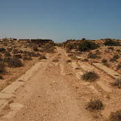 Taucheira-Arsinoe, Road