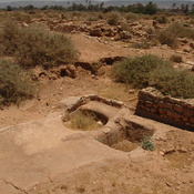 Taucheira-Arsinoe, Dyer's atelier